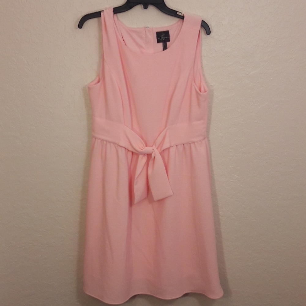 Adrianna Papell Sleeveless Fit and Flare Dress